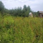 Дом сруб 50м 12 сот г. Чехов с. Любучаны снт Усадьба