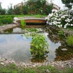 Строительство прудов и водоемов на участках. Ремонт. ЗвонитЕ.