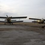 Агро услуги по внесению минудобрений самолетом Ан-2