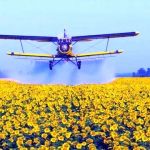 Авіапослуги з внесення фунгіцидів на соняшник